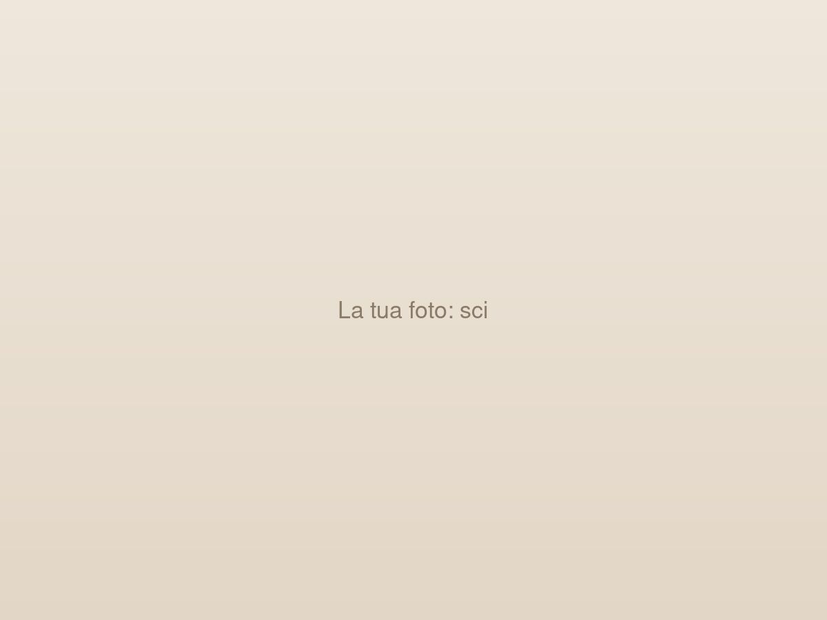 Piste da sci
